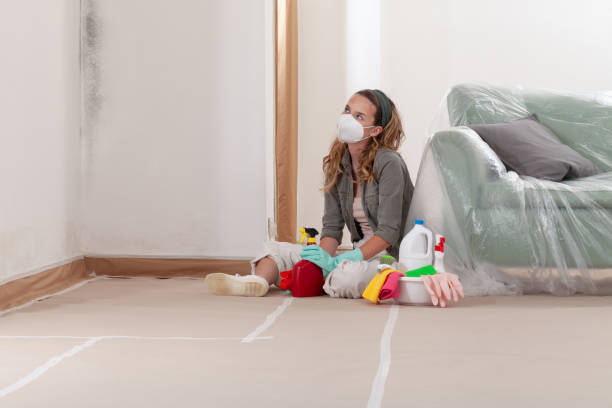 Reliable Mold Inspection And Testing contractor in Bellevue, IL by Car Mold Remediation